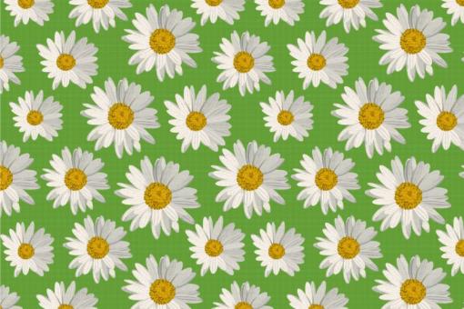 Deko-Stoff - Daisy Flowers Grün