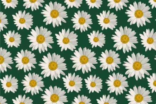 Deko-Stoff - Daisy Flowers Grün
