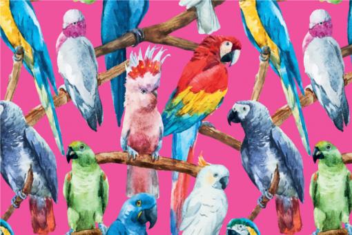 Möbelsamt-Stoff - Exotische Vögel Pink
