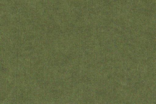 Loden-Filz - 3 mm - 50 cm breit - Uni Melange Grün