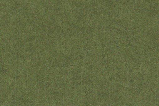 Loden-Filz - 3 mm - 50 cm breit - Uni Melange Grün