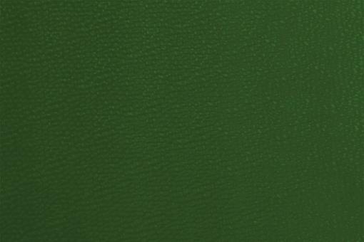 Kunstleder deluxe Grün