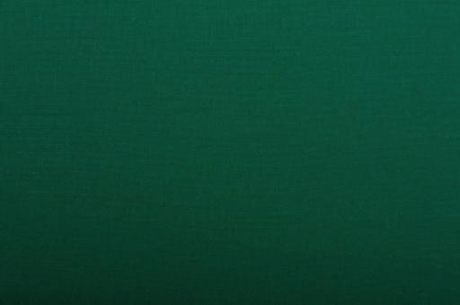 Fotohintergrund - 240 cm breit Grün