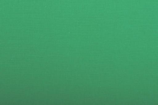 Fotohintergrund - 275 cm Breite Green Screen