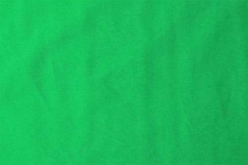 Baumwolle Meterware Apfelgrün