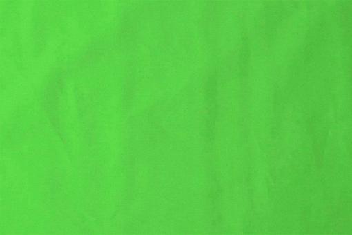 Baumwolle Hellgrün