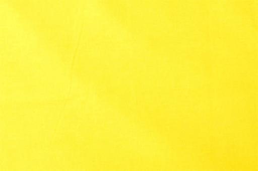 Baumwolle Meterware Zitrone