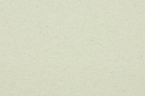 Jerseystoff - Leinenmix Natur