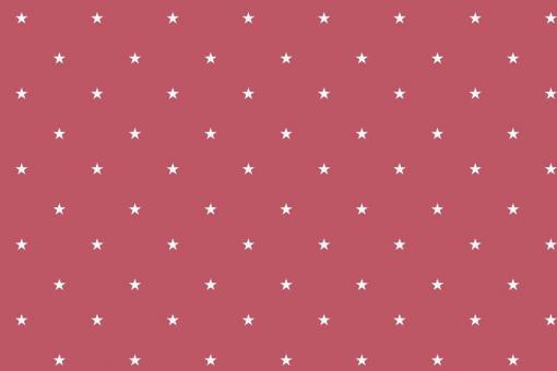 Jerseystoff - Kleine Sterne Pink