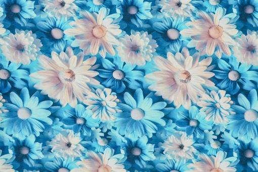Jersey Superprint - Lino Blu 