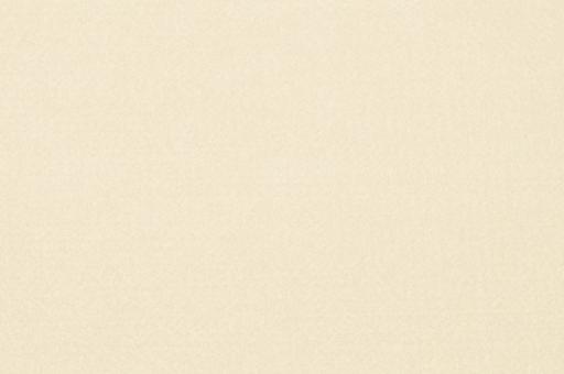 Filz Meterware - 4 mm stark - 45 cm Champagner