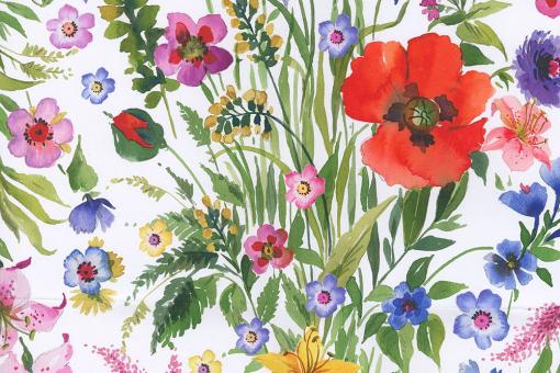 Baumwollstoff Digitaldruck - 280 cm - Wildblumen 