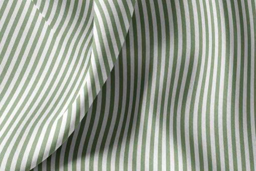 Baumwollstoff mit Streifen - Weiß/Grün 