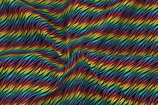 Allround-Stoff - Baby-Zebra Rainbow