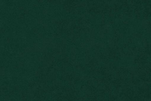 Samt-Stoff - 280 cm Tannengrün