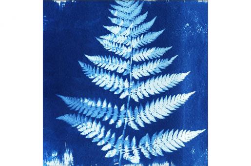 Samt-Panel Deluxe - Blaues Farn 