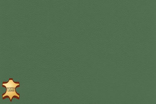 Echtes Leder - Florenz - halbe Haut Grün