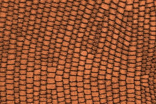 Echtleder-Stück geprägt - Baby-Snake - Croupon Karamell