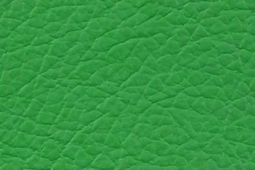 Echtleder - Fresh Colours - Ganze Haut Grass Green