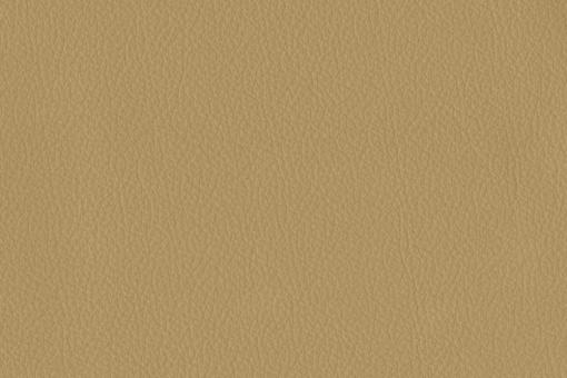 Echtes Anilinleder - Nevada - Ganze Haut Beige