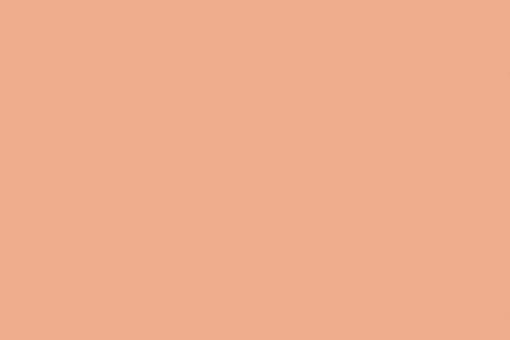 Filz - 90 cm breit Beige/Apricot