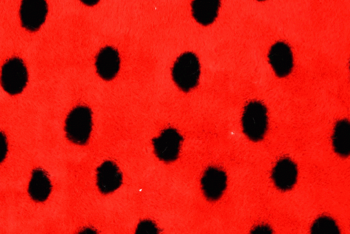 Plüsch-Fleece - Ladybird 