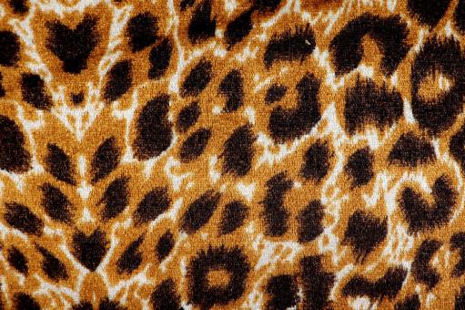 Stretch-Samt mit Leo Muster 