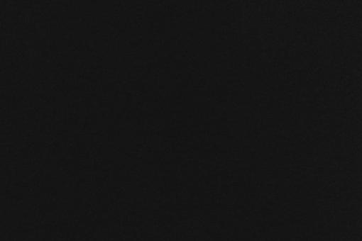 Türvorhangstoff Arktis - Schwarz 