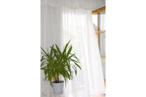 Voile lichtecht - 310 cm - Bleiband 