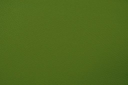 skai® Toledo EN - Kunstleder - Extra Strong Grün