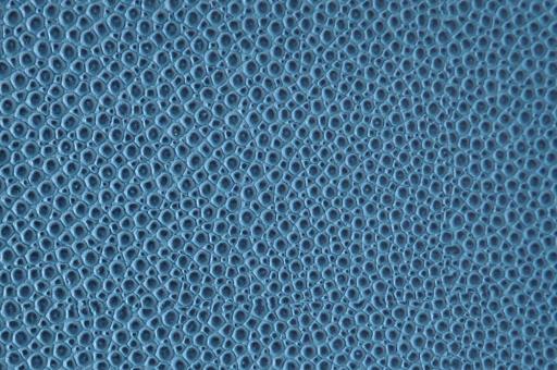 skai® Soshagro EN - Kunstleder - Manta Blau