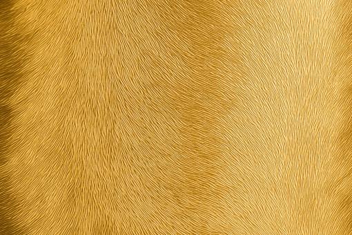 skai® Sofelto EN - Kunstleder - Metallic Animal Gold