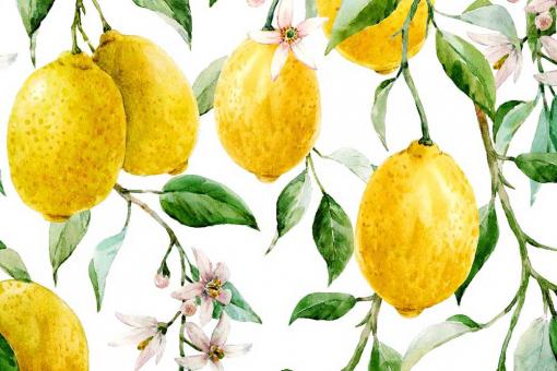 Outdoorstoff Deluxe - Viva la Lemon 