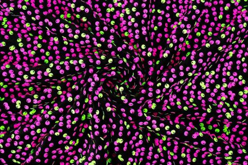 Samt-Stoff deluxe - Neon-Pailletten 