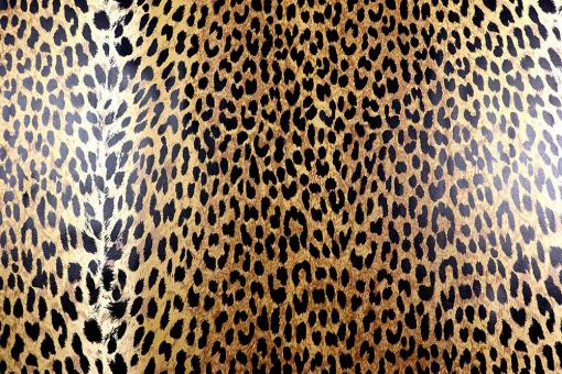 Echtleder-Haut Jakarta - Leo-Print - 1,5 qm 