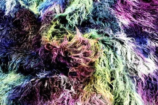 Zottelfell in verrückten Farben 