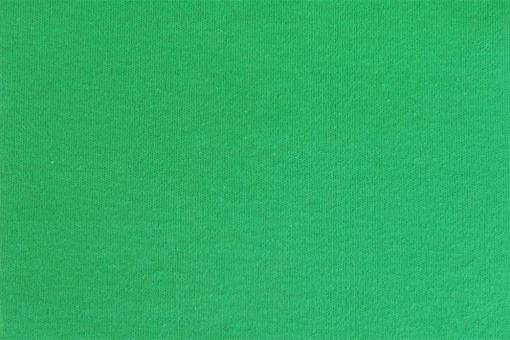 T-Shirt Stoff - extraschwer Grün