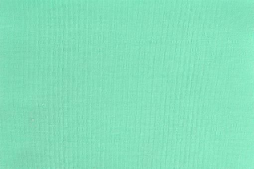 T-Shirt Stoff - extraschwer Mint