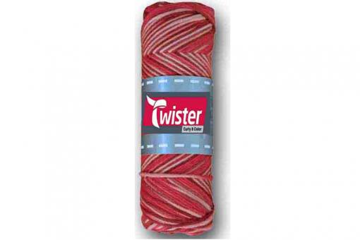 Topflappen-Garn Twister - 50 g - Bunt Rot-Töne