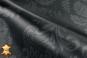 morepic-1