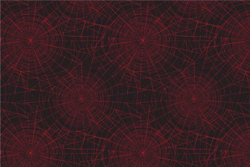 Allround - Spinnennetz Schwarz/Rot