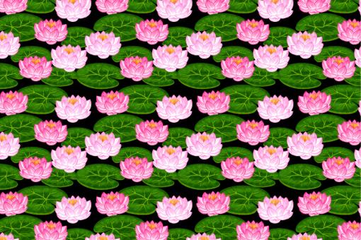 Satin-Stoff - Lotusblüten Schwarz