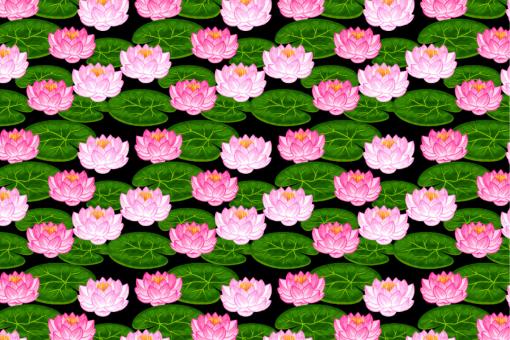 Satin-Stoff - Lotusblüten Schwarz