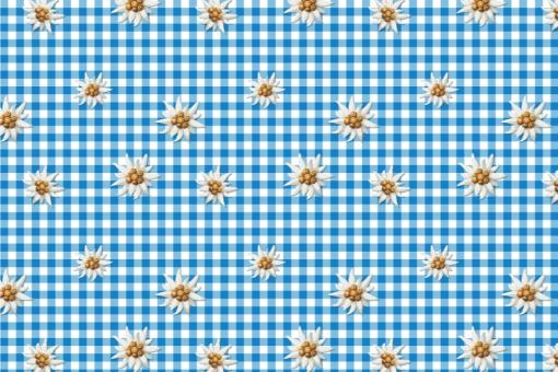 Polarfleece-Stoff - Bayern-Edelweiß 