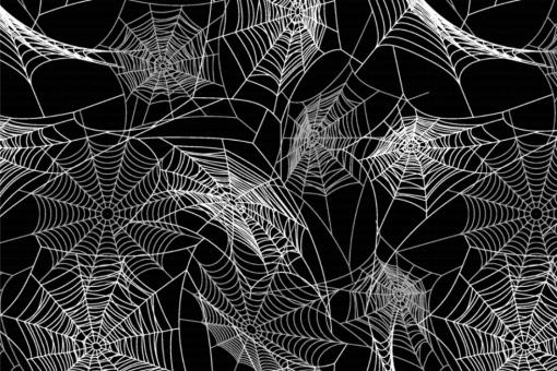 Satin-Stoff - Spider's Web 