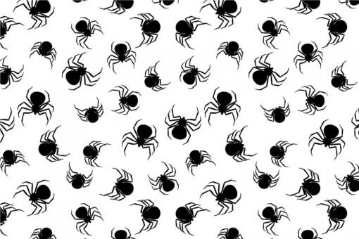 Satin - Spinnen Allover Weiß 