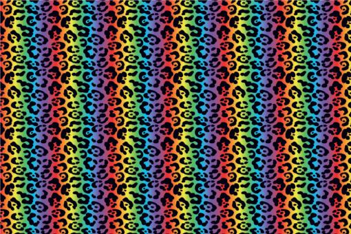 Allround-Stoff - Baby-Leo Rainbow
