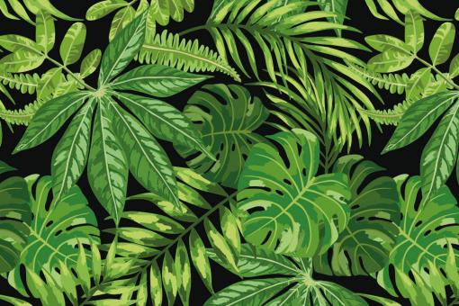 Samtstoff - Green Jungle Schwarz