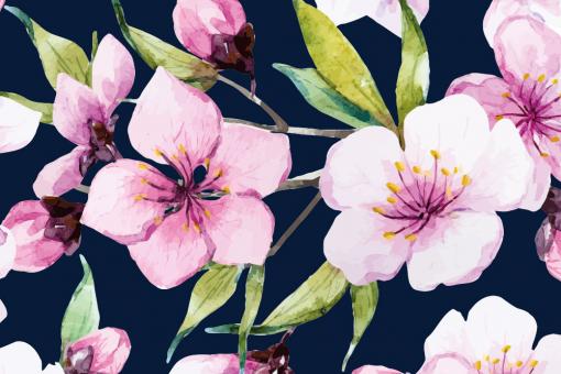 Softshell Premium - Sakura-Kirschblüte Nachtblau