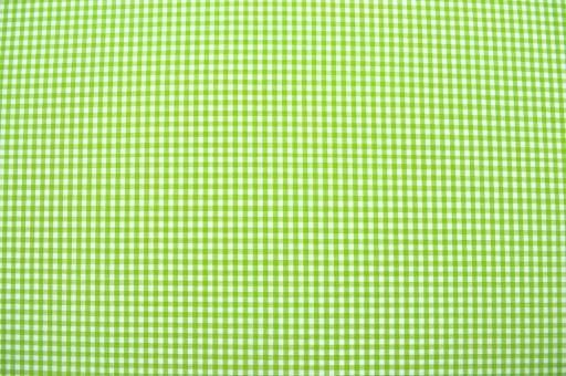 Vichy-Karo Augsburg 4 mm Frühlingsgrün